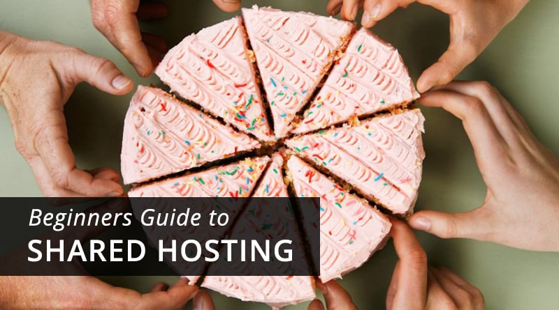 Everything A Beginner Needs To Know About Shared Hosting