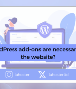 WordPress add-ons are necessary for the website?