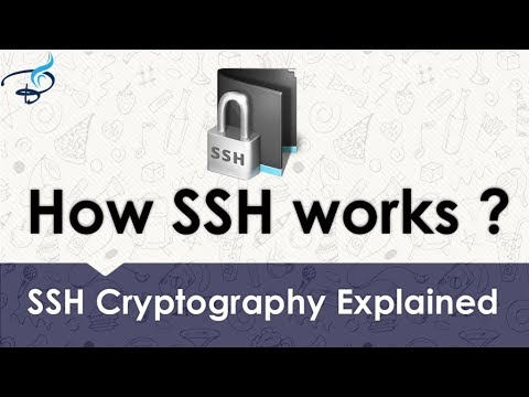 How does SSH work?