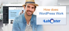 How does WordPress work?